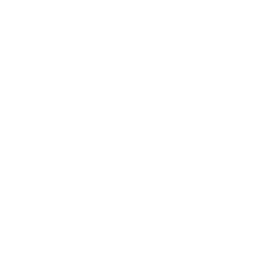Senfter+GSI-logo